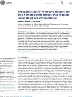 Drosophila sessile hemocyte clusters are true hematopoietic tissues that regulate larval blood cell differentiation