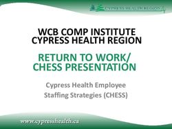 RETURN TO WORK/ CHESS PRESENTATION - WCB COMP INSTITUTE CYPRESS HEALTH REGION Cypress Health Employee Staffing Strategies (CHESS) - Saskatchewan WCB