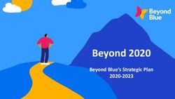 Beyond 2020 Beyond Blue's Strategic Plan 2020-2023