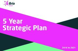 5 Year Strategic Plan - 2016 to 2021 - Brio Leisure