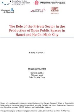 Hanoi and Ho Chi Minh City