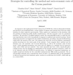 Strategies for controlling the medical and socio-economic costs of the Corona pandemic