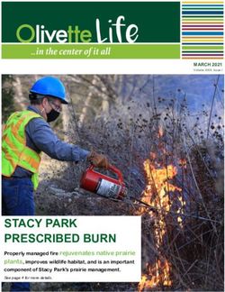 STACY PARK PRESCRIBED BURN - Olivette, MO