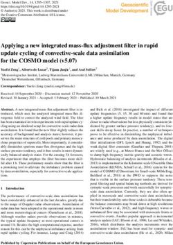 Applying a new integrated mass-flux adjustment filter in rapid update cycling of convective-scale data assimilation for the COSMO model (v5.07)