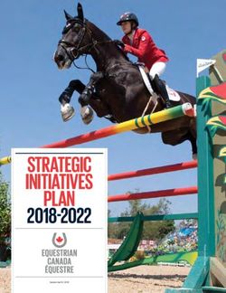 STRATEGIC INITIATIVES PLAN 2018-2022 - Horse Sport