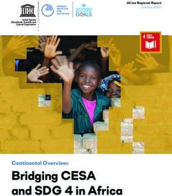 Bridging CESA and SDG 4 in Africa - Continental Overview: Africa Regional Report - Technical Cooperation Group ...