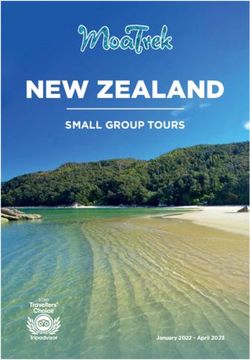 small group tours new zealand 2023