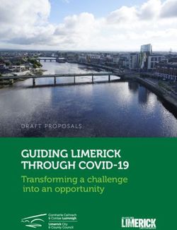GUIDING LIMERICK THROUGH COVID-19 - Transforming a challenge into an opportunity DRAFT PROPOSALS - Limerick.ie