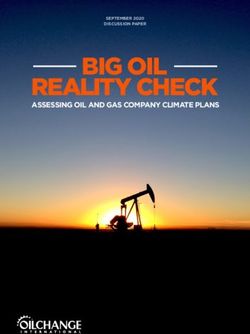 BIG OIL REALITY CHECK - ASSESSING OIL AND GAS COMPANY CLIMATE PLANS - Oil Change International