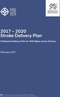 2017 2020 Stroke Delivery Plan - A Refreshed Delivery Plan for NHS Wales and its Partners - GOV.WALES