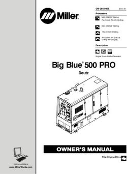 Big Blue 500 PRO Deutz - Miller