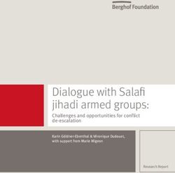 Dialogue with Salafi jihadi armed groups: Challenges and opportunities for conflict de-escalation - Berghof Foundation