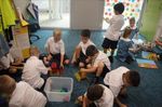 Our Lady of the Angels School, Rouse Hill - Our Lady of the Angels Primary School