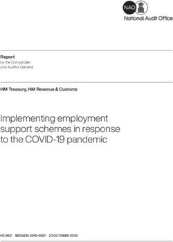 Implementing employment support schemes in response to the COVID-19 pandemic - Report