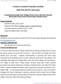Invitation to Submit Proposals and Bids Hyde Park Net Zero Showcase Showcase Using Green Stormwater Infrastructure