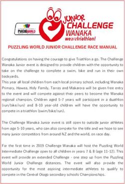 PUZZLING WORLD JUNIOR CHALLENGE RACE MANUAL