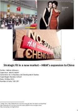 Strategic fit in a new market - H&M's expansion to China - Copenhagen ...
