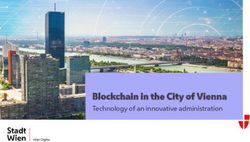 Blockchain in the City of Vienna - Technology of an innovative administration - 1st International Summer ...