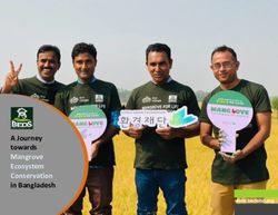 A Journey towards Mangrove Ecosystem Conservation in Bangladesh - www.bedsbd.org
