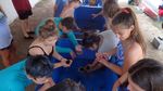 PIGEON KEY FOUNDATION & MARINE SCIENCE CENTER: EDUCATIONAL PROGRAMS