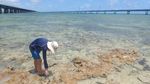 PIGEON KEY FOUNDATION & MARINE SCIENCE CENTER: EDUCATIONAL PROGRAMS