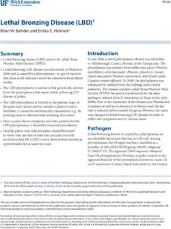 Lethal Bronzing Disease (LBD)1 - Brian W. Bahder and Ericka E. Helmick2 - University of Florida