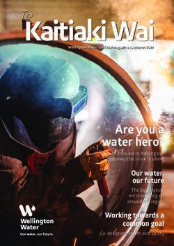 Kaitiaki Wai - Wellington Water