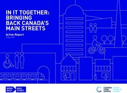 IN IT TOGETHER: BRINGING BACK CANADA'S MAIN STREETS - Action Report