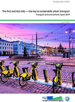 The first and last mile - the key to sustainable urban transport - Transport and environment report 2019 - European Environment Agency