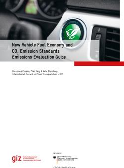 New Vehicle Fuel Economy and CO2 Emission Standards Emissions Evaluation Guide - Francisco Posada, Zifei Yang & Kate Blumberg International ...