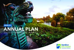 ANNUAL PLAN 2020/21 MAAHERE-AA-TAU - Hamilton City Council