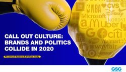 CALL OUT CULTURE: BRANDS AND POLITICS COLLIDE IN 2020 - 7th Annual Business & Politics Study - Global Strategy Group