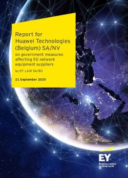 Report for Huawei Technologies (Belgium) SA/NV - on government measures affecting 5G network equipment suppliers