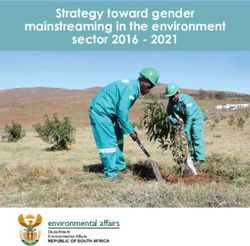 Strategy toward gender mainstreaming in the environment sector 2016 2021 - environmental affairs
