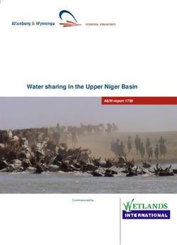 Water sharing in the Upper Niger Basin - Altenburg & Wymenga