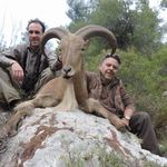 BALEAREAN GOAT ON MALLORCA - Diana Hunting Tours