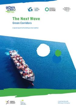 The Next Wave Green Corridors - Global Maritime Forum