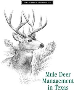 Mule Deer Management in Texas - TEXAS PARKS AND WILDLIFE