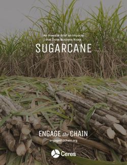 SUGARCANE An Investor Brief on Impacts that Drive Business Risks: engagethechain.org - Engage the Chain