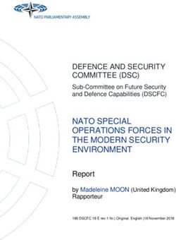 NATO SPECIAL OPERATIONS FORCES IN THE MODERN SECURITY ENVIRONMENT - NATO Parliamentary Assembly