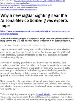 Why a new jaguar sighting near the Arizona-Mexico border gives experts hope