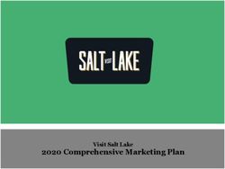 2020 Comprehensive Marketing Plan - Visit Salt Lake - Simpleview