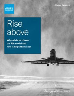 Rise above Why advisors choose the RIA model and how it helps them soar