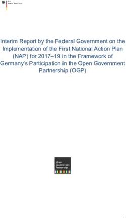 Interim Report by the Federal Government on the Implementation of the First National Action Plan (NAP) for 2017-19 in the Framework of Germany's ...