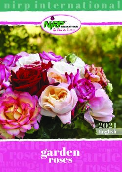 Garden roses roses - NIRP International