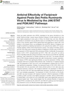 Antiviral Effectivity of Favipiravir Against Peste Des Petits Ruminants Virus Is Mediated by the JAK/STAT and PI3K/AKT Pathways