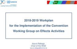 For the Implementation of the Convention Working Group on Effects Activities - 2018-2019 Workplan Isaura Rábago Chair of the WGE - unece