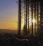 Gisburn Forest and Stocks Reservoir Adventure - Forest of ...