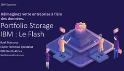Portfolio Storage IBM : Le Flash - Raef Mansour Client Technical Specialist IBM North Africa - ADEX Technology