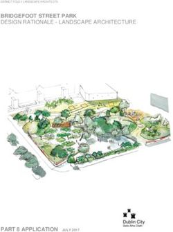 BRIDGEFOOT STREET PARK DESIGN RATIONALE - LANDSCAPE ARCHITECTURE - PART 8 APPLICATION JULY 2017 - Dublin City Council Consultations